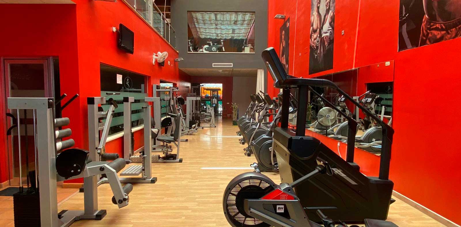 Sala de cardio y musculación Sala de cardio y musculación